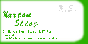 marton slisz business card